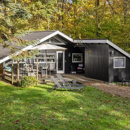 Elisabeta - 28km From The Sea By Interhome Casa vacanze Toftlund